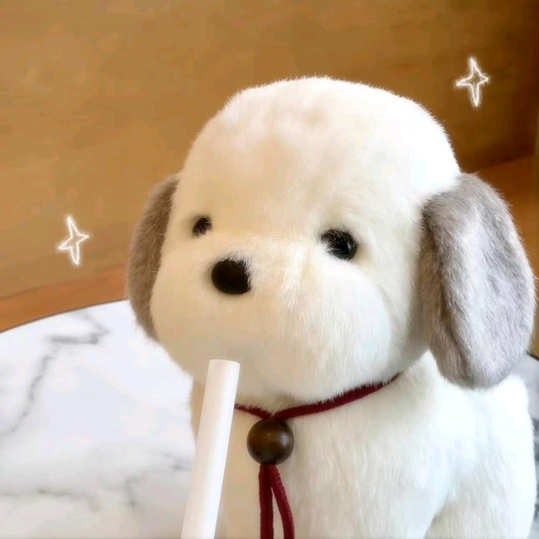 饺卷