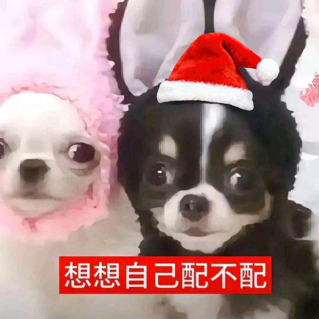 太阳雨