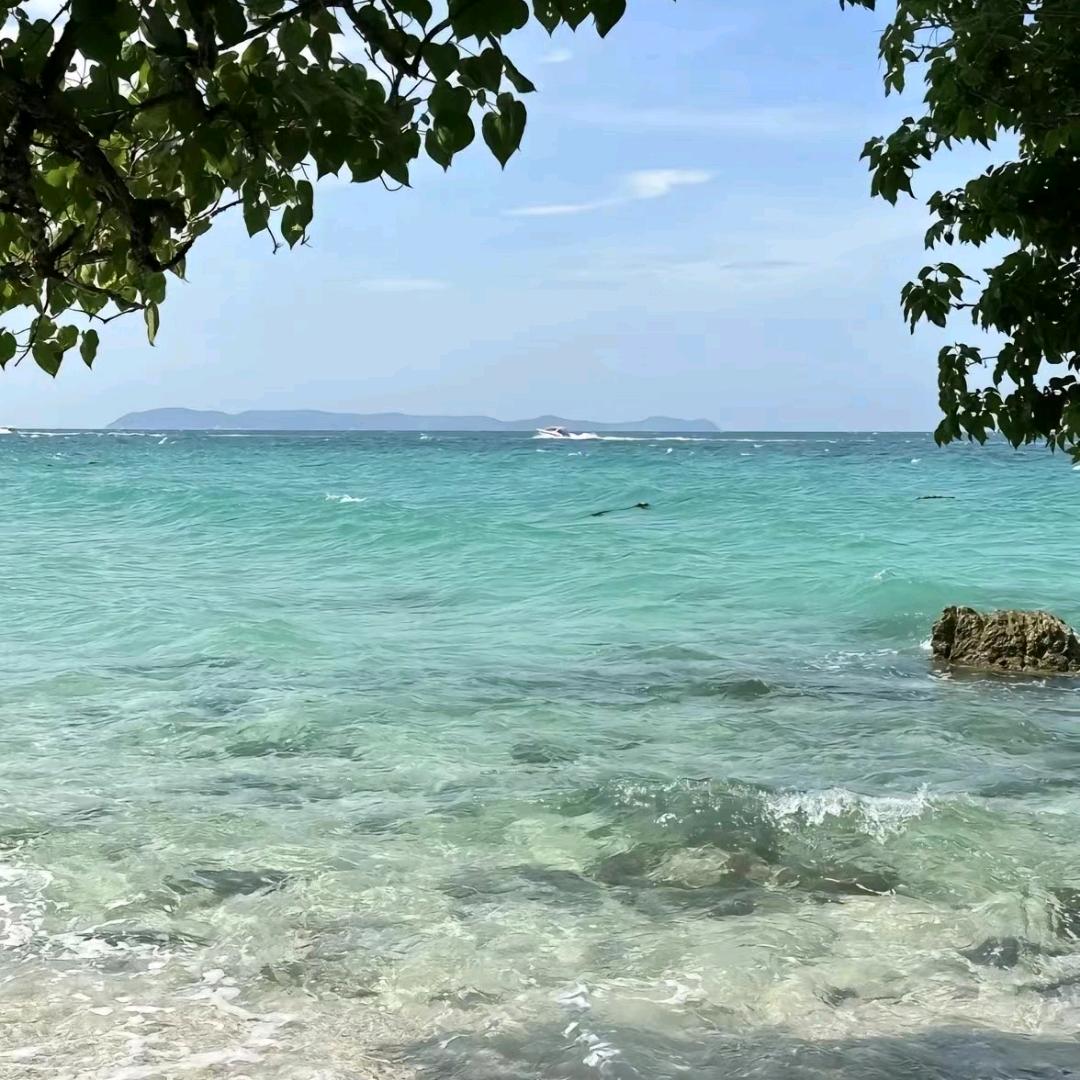 岁月静好👣