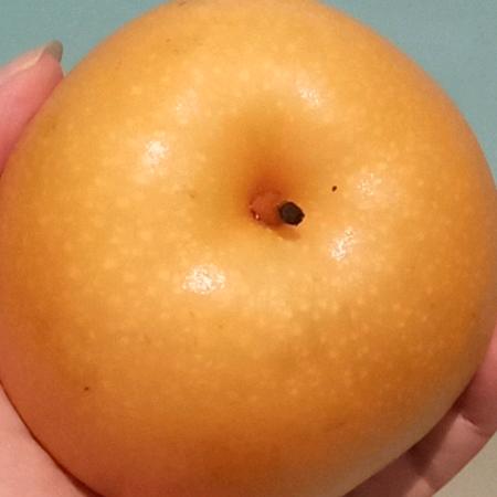 广丰明珠店铂智号