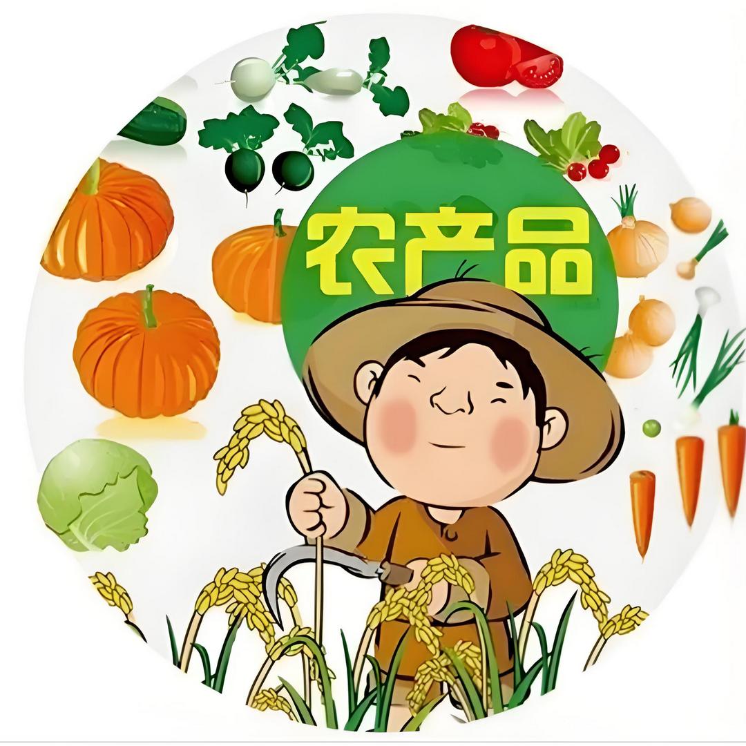 大小轩宝百货优品铺