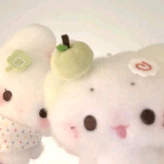 ʚ呆呆惗堂ɞ（限流没招版）