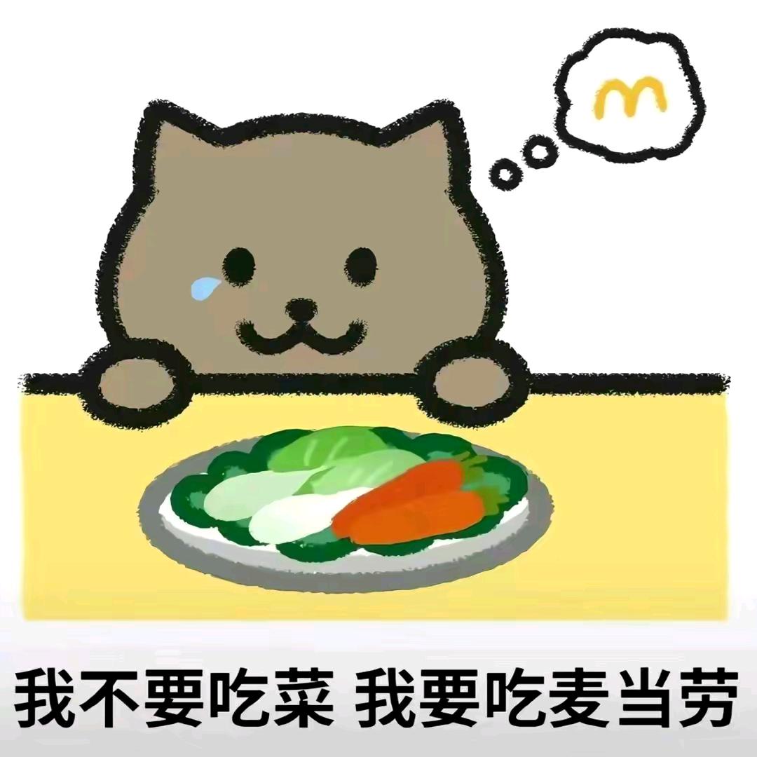 雨伞