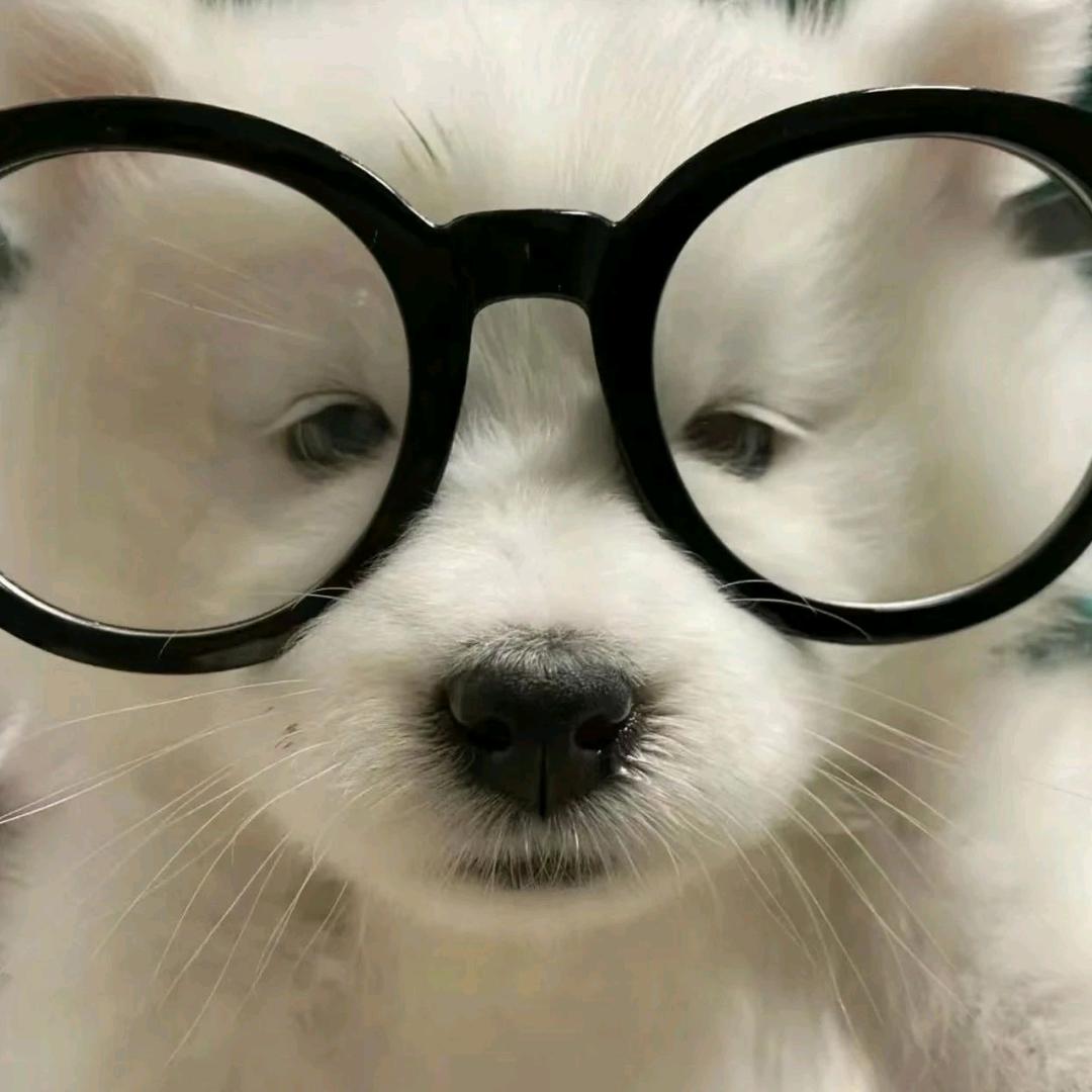 U_U