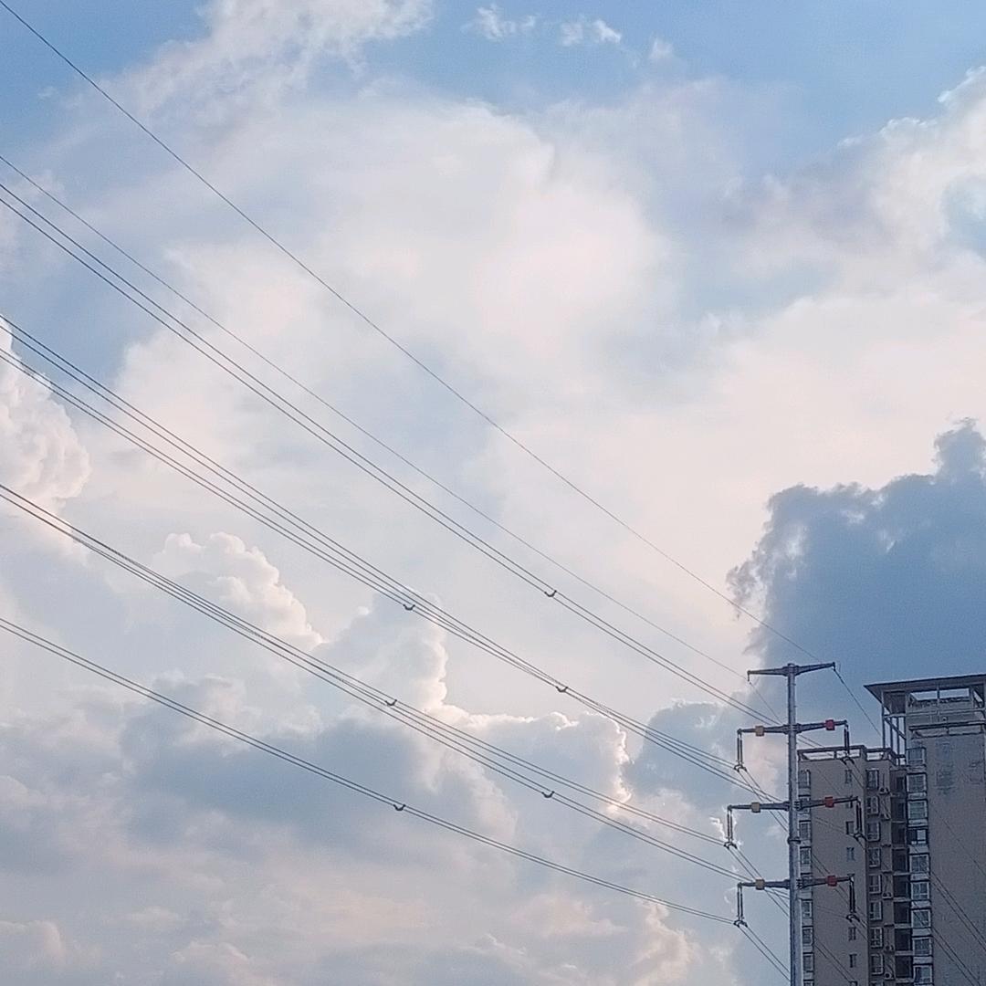 酒馨