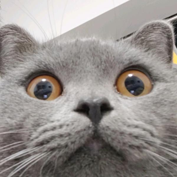 游