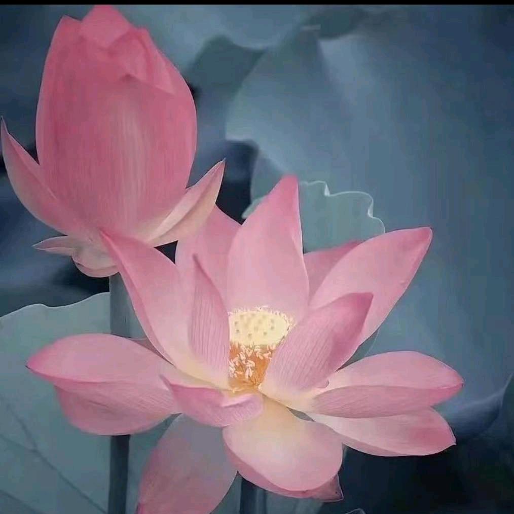 菠萝汁