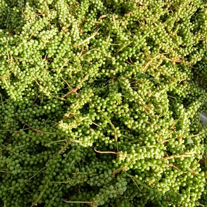 向钱走，往厚赚