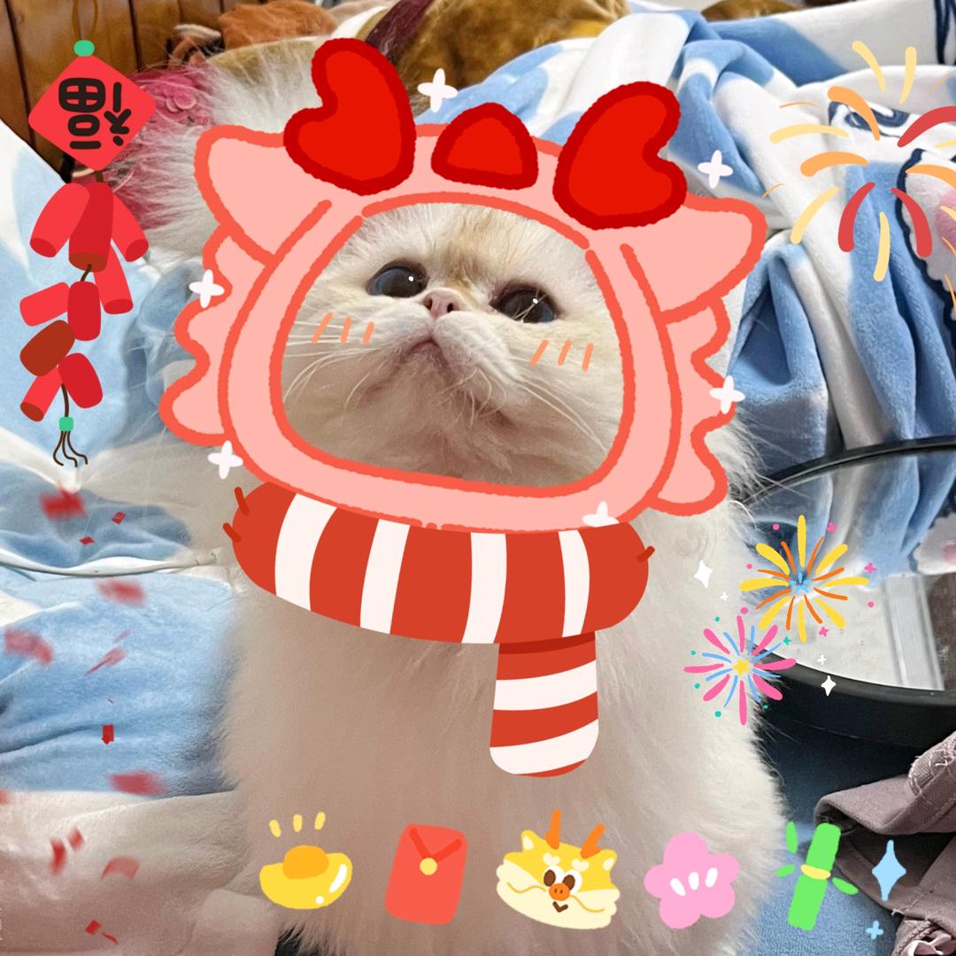 笨笨狗好吃