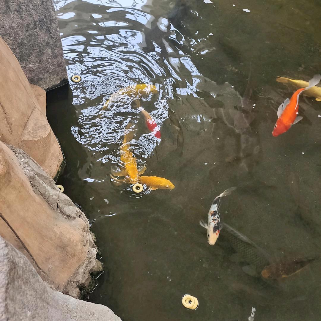 入戏太深i336