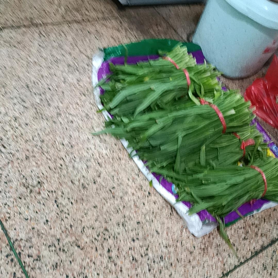 心里的未亡人