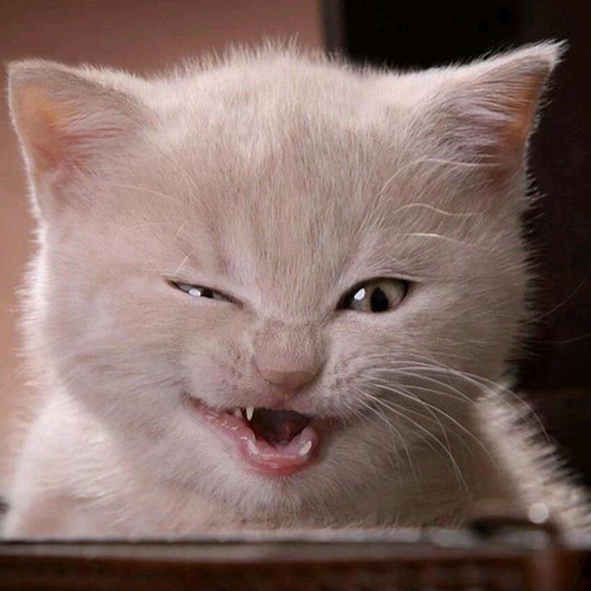 龙二欧