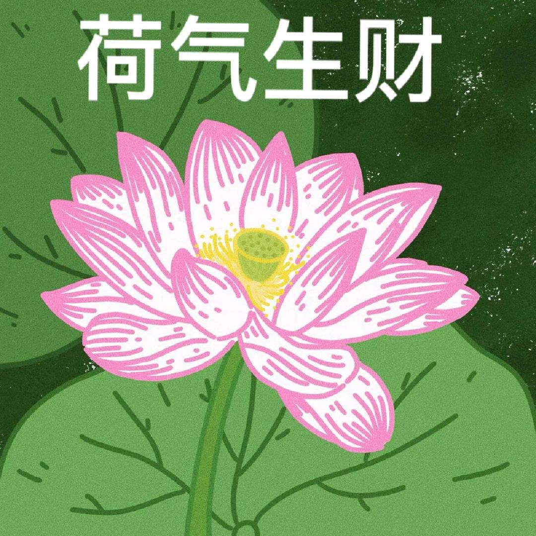 星洱