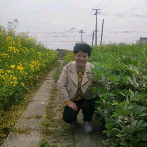 朱朱
