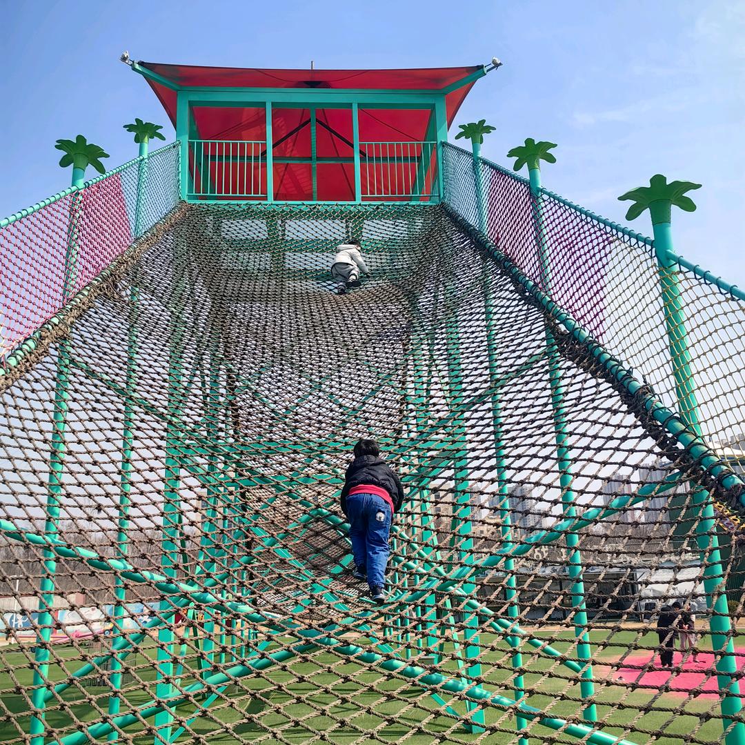 🌈🌈鴥彼晨风