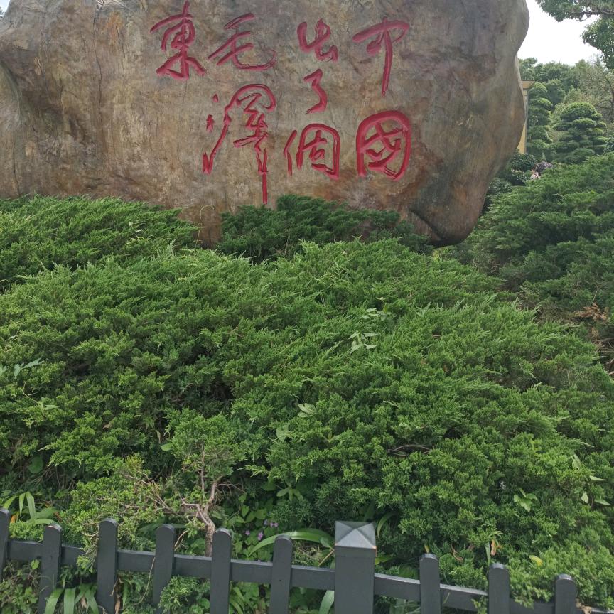 开心快乐每一天