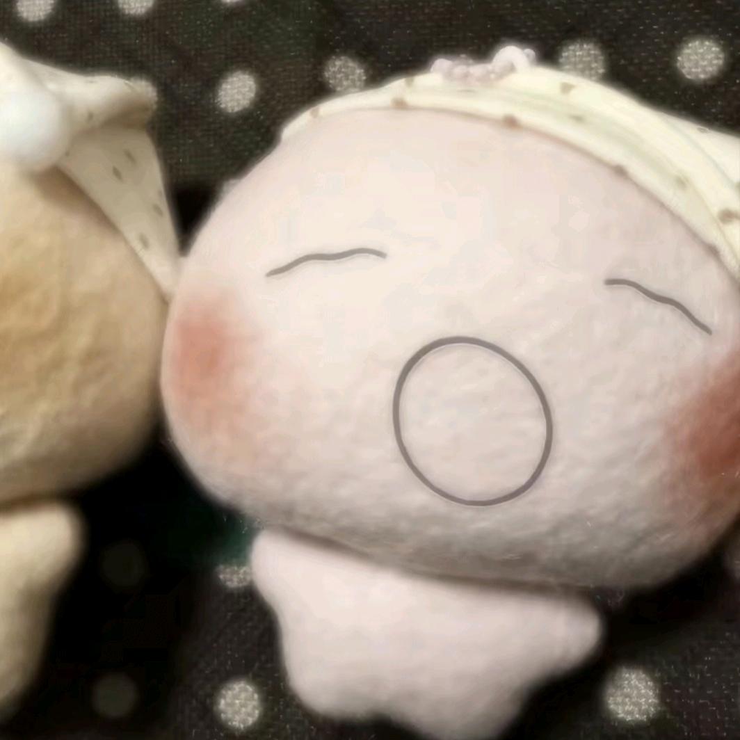 花易落