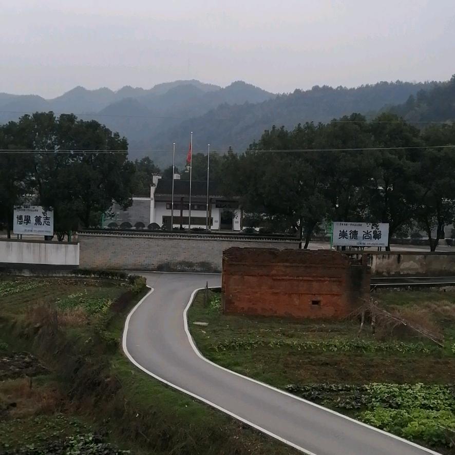 四季飘香