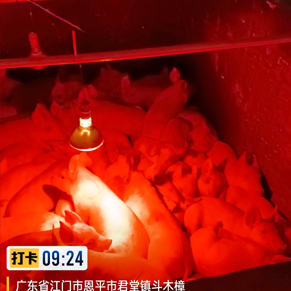 一生友你