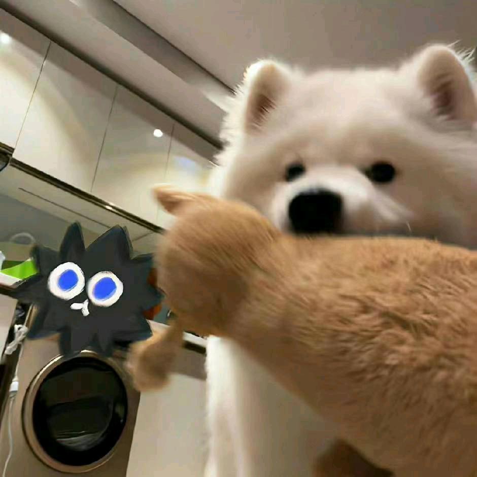S.°