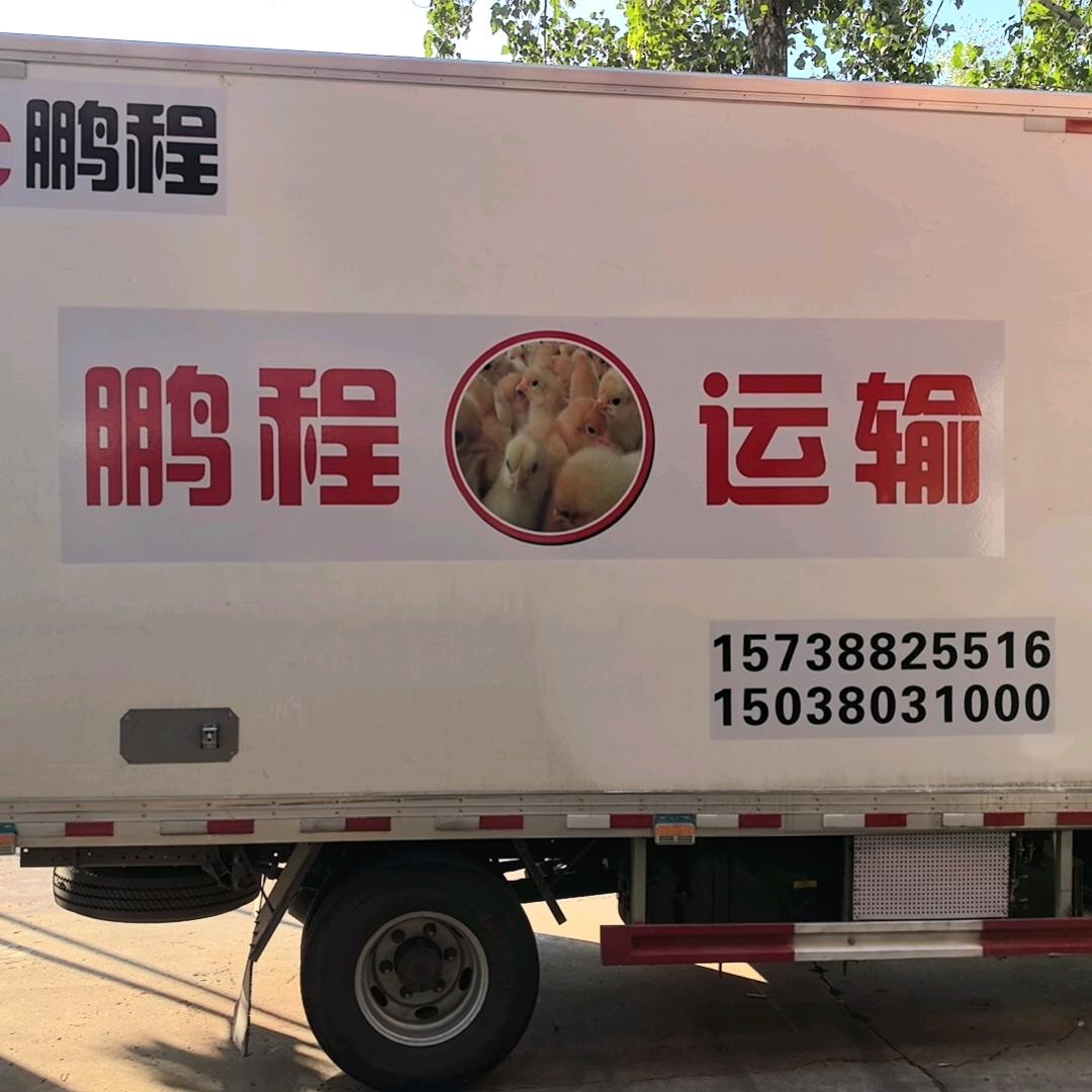 《鵬程》全国禽苗运输