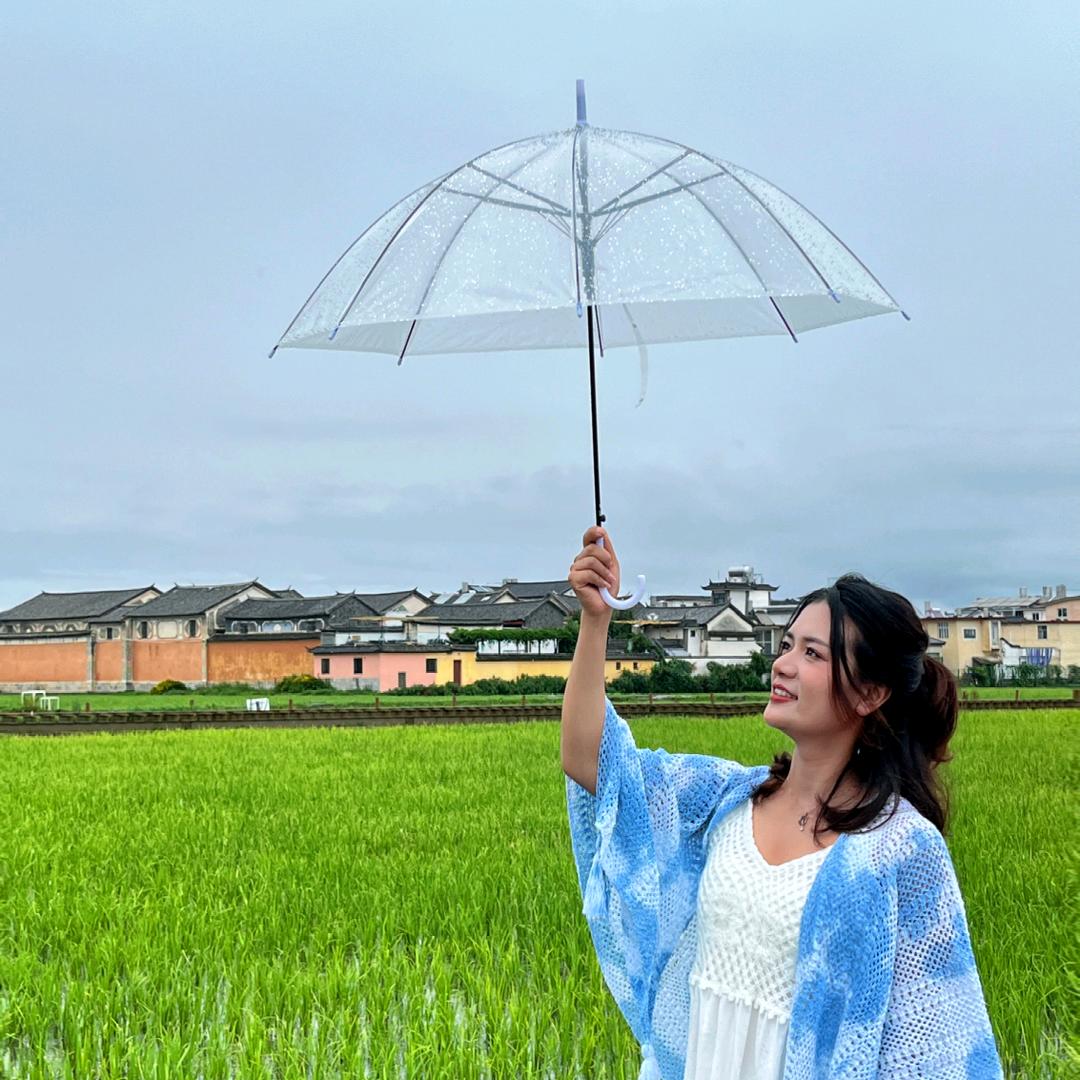 栢 倪