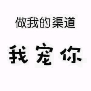 大D--搭建独立站外贸跨境