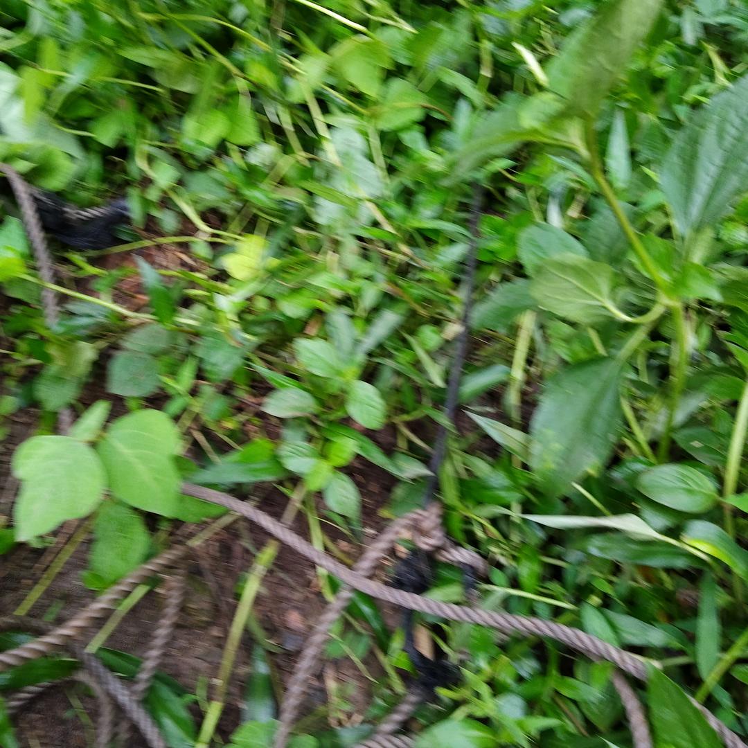 互相依赖