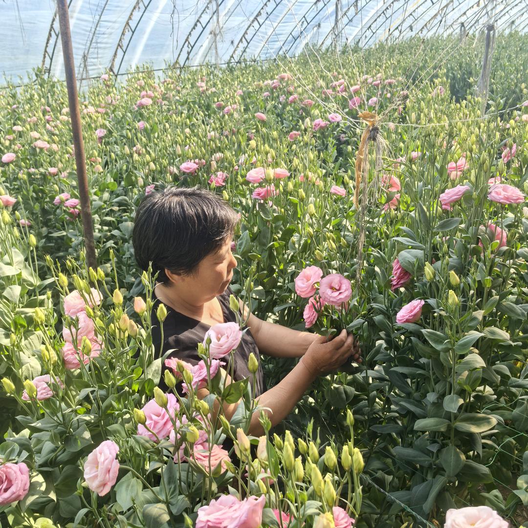 花姐