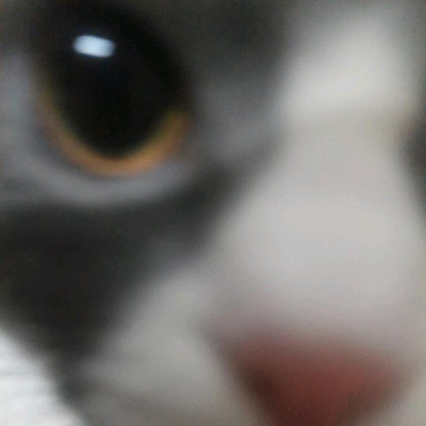 小青好困