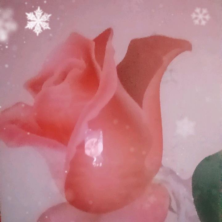 @荣姐