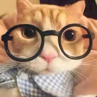 ^0^