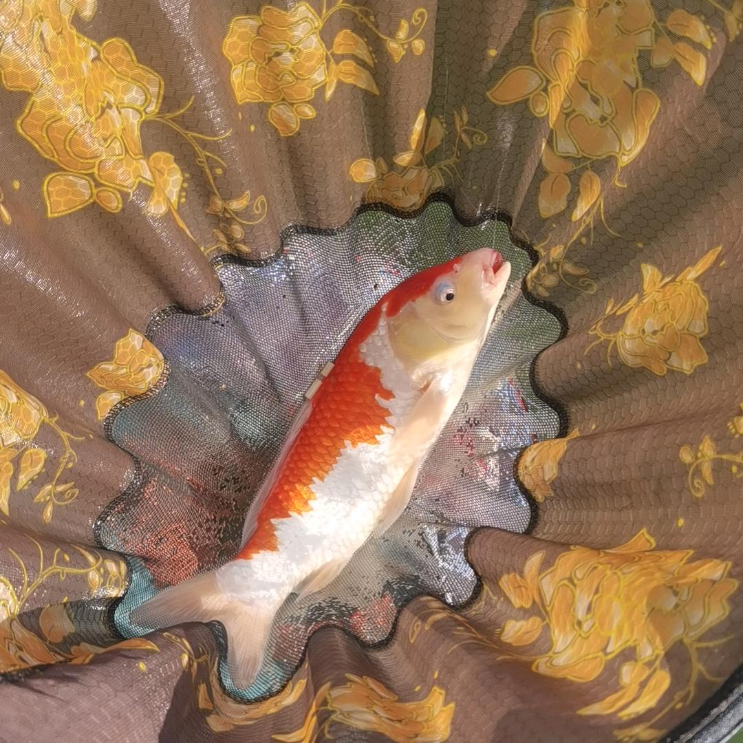 李小皮钓鱼俱乐部