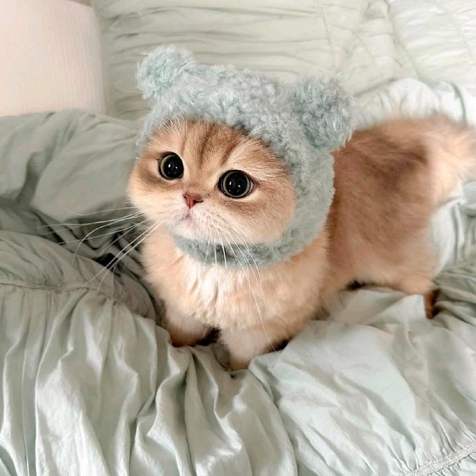 风铃的生活优港