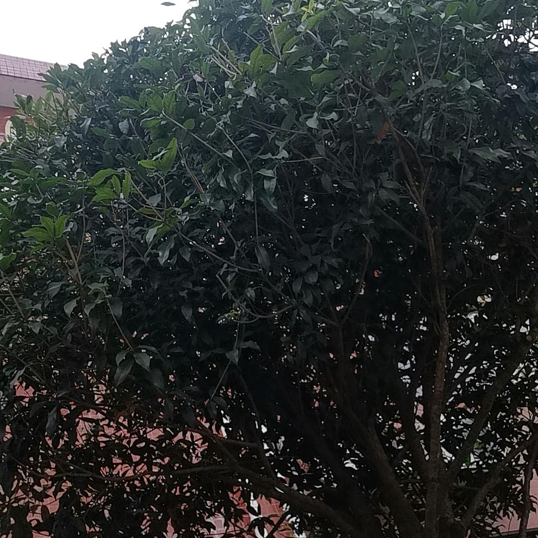 人在旅途。