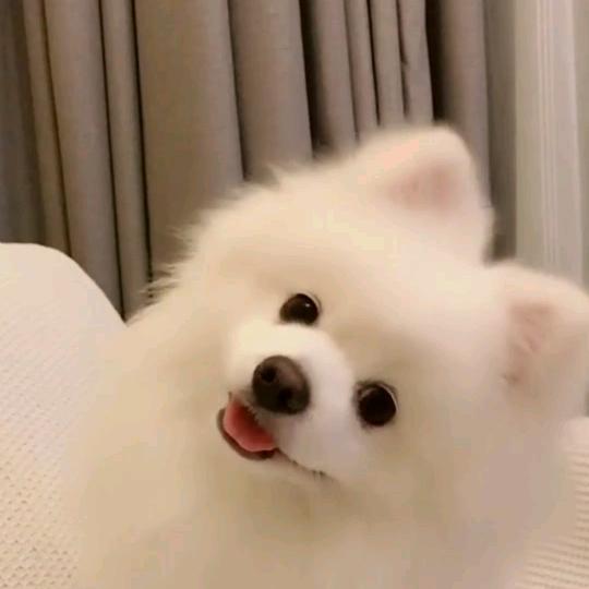 水哥是小卡拉米，你说是