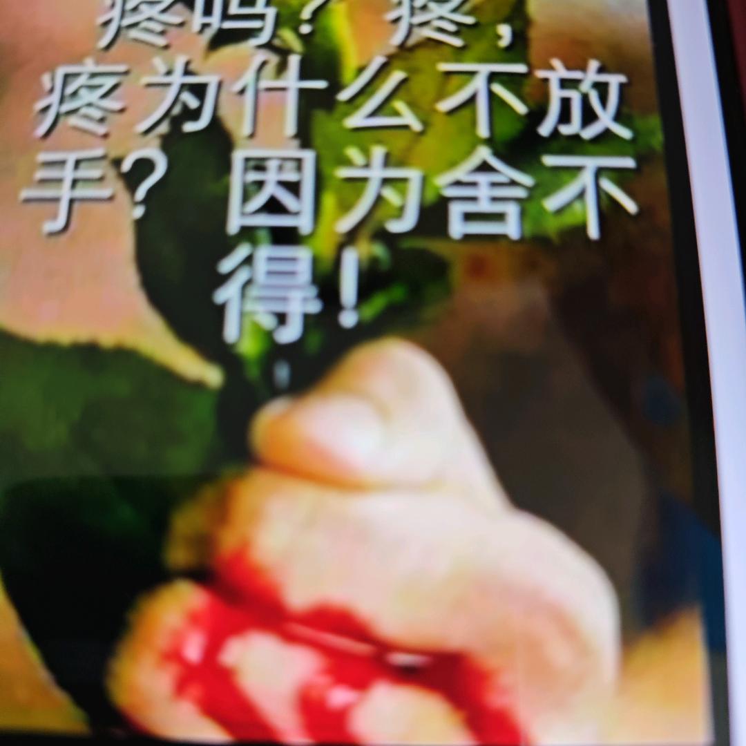 真心换不了真心，我只有冷心