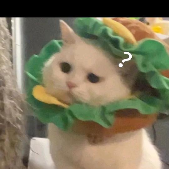 叽里呱啦叽里咕噜