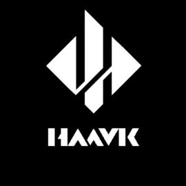 HAAVK丶腾龙（三角洲行动）