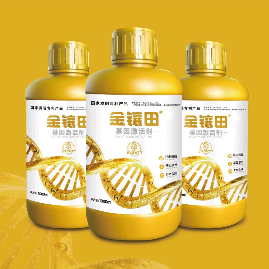 金镶田🇨🇳王帅