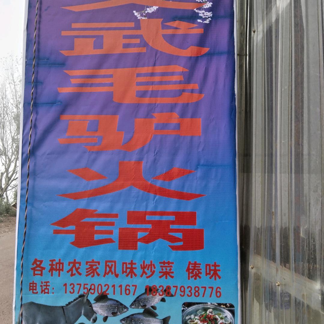 老孙