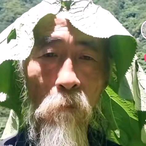 被气孕了
