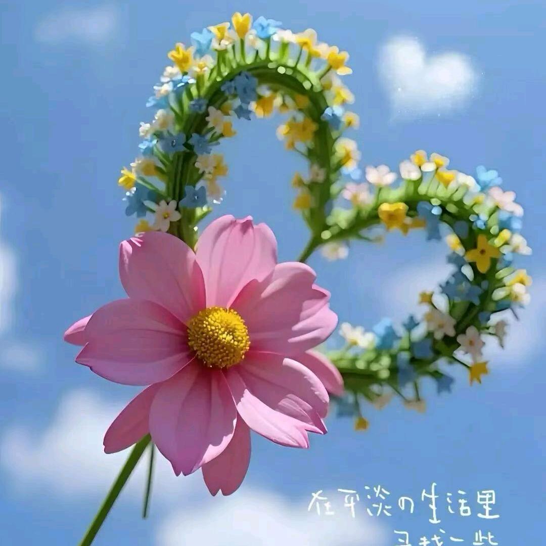 ༄ᐝ半糖💖⃟⸜微甜໊ഒ