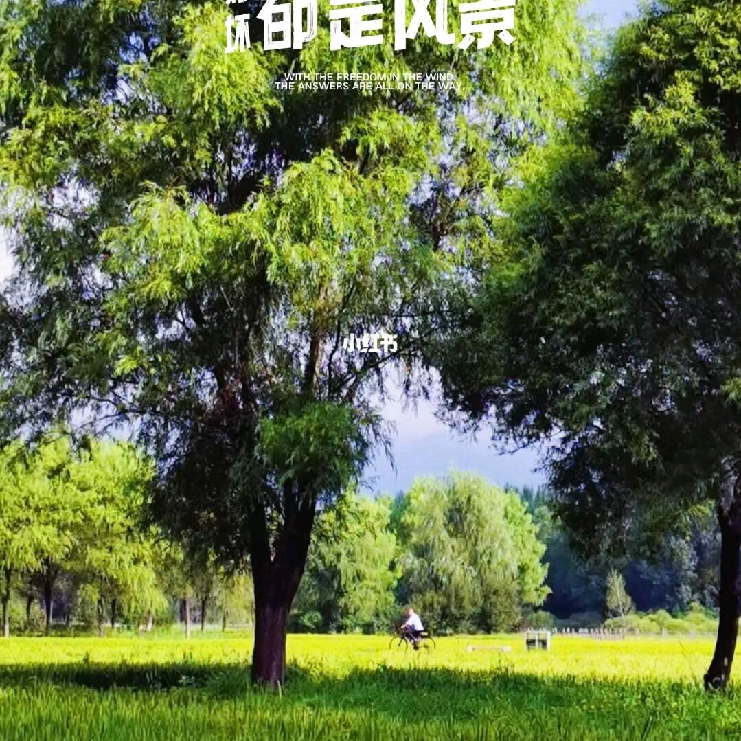 用户867640189