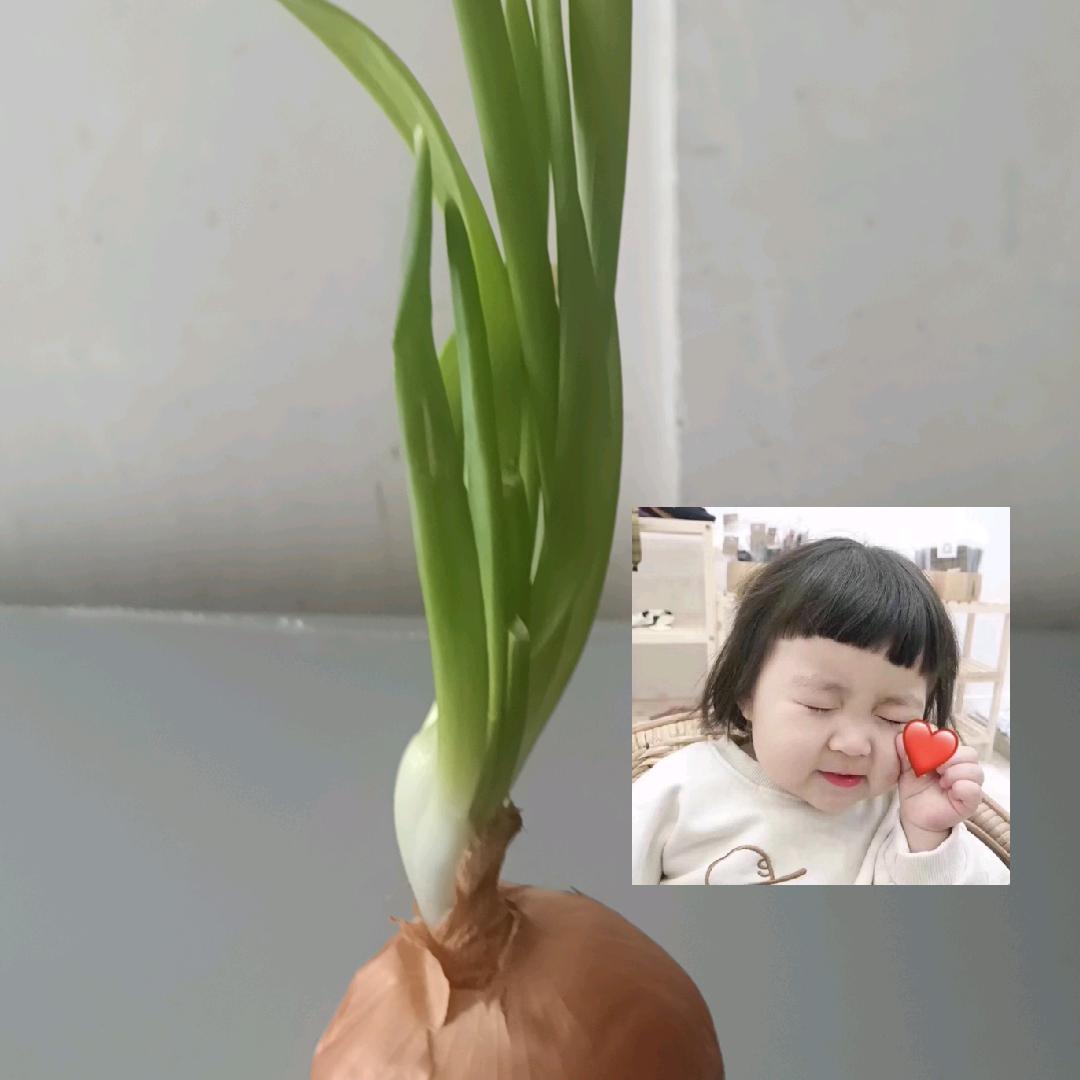 拒绝私聊海波