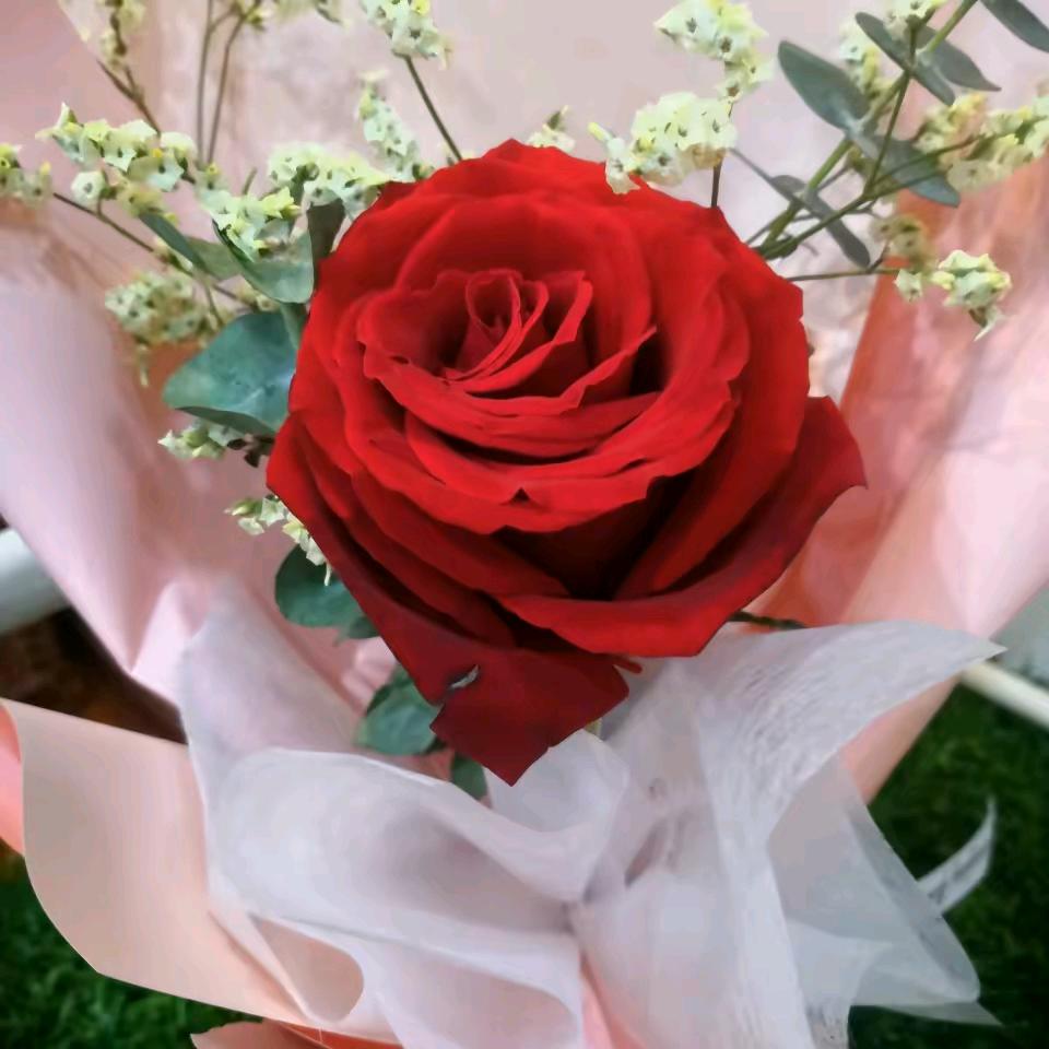 缘分让我爱上你