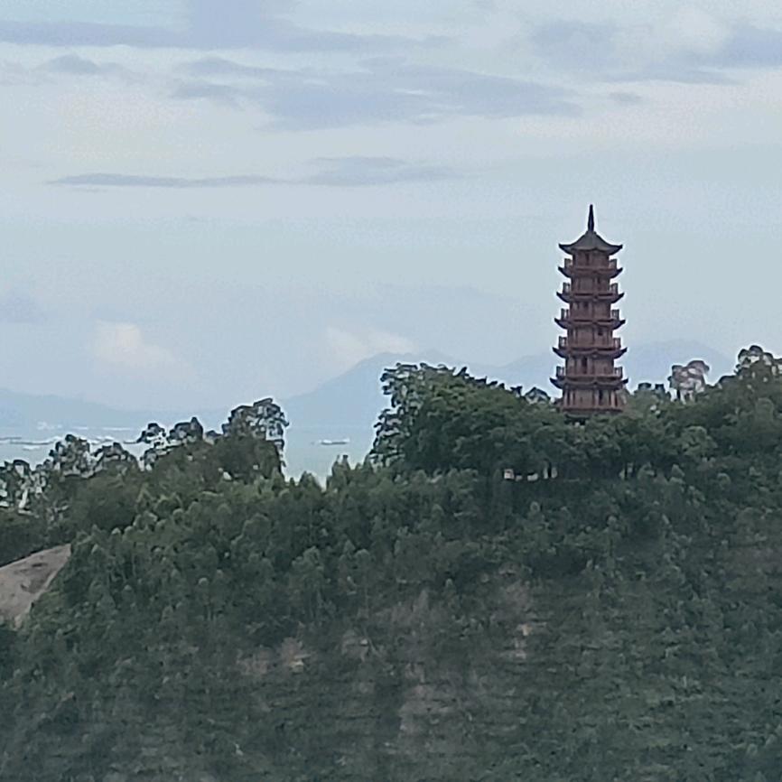 奇奇