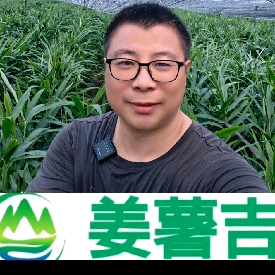 姜薯吉农资