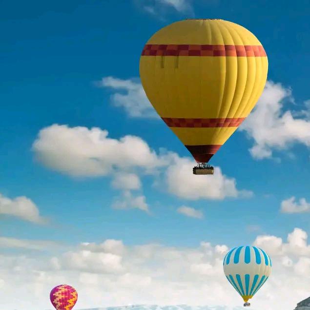 67年的幸福羊洋😅😅