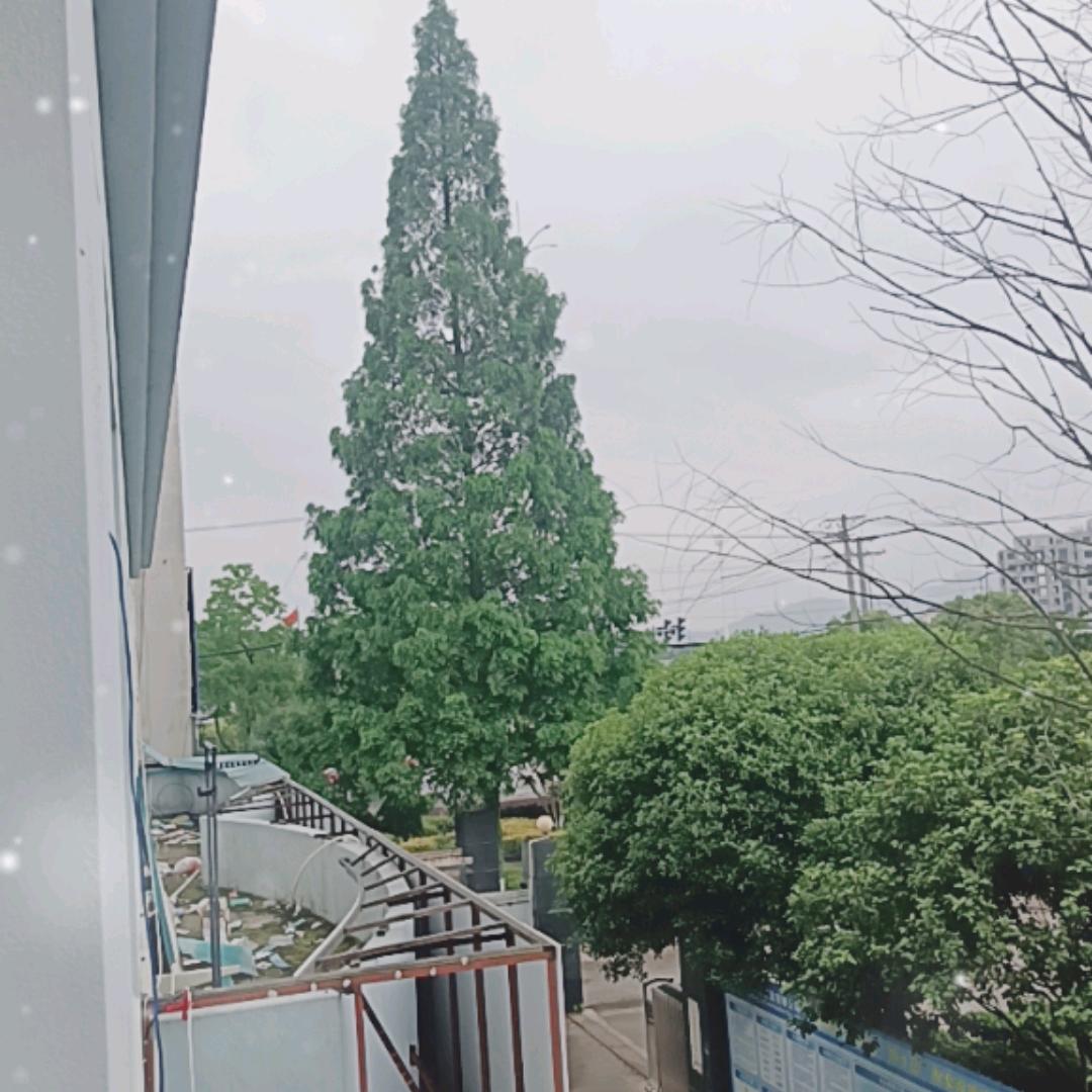 闯天下